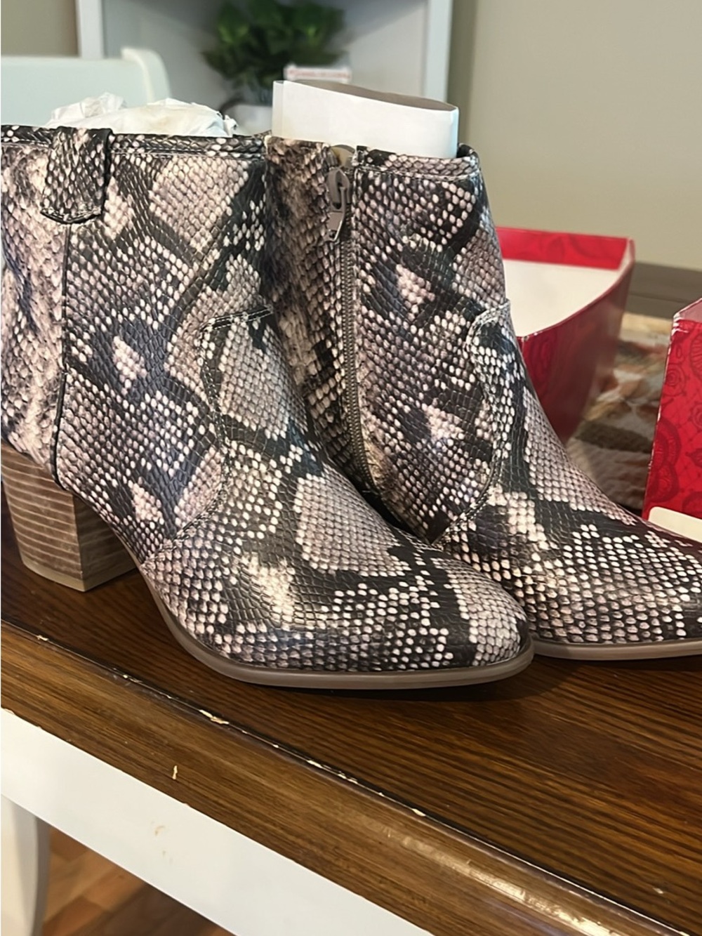 Carlos by Carlos Santana Snake-Print Ankle Booties in Black and Taupe